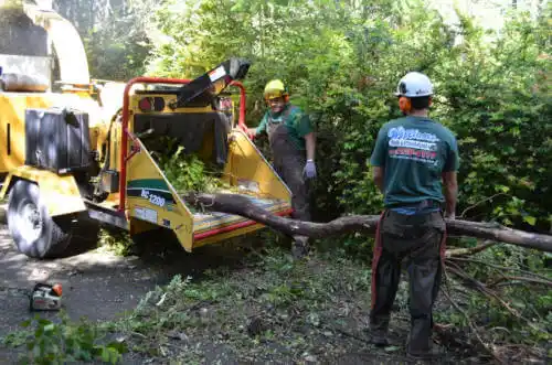 tree services South Elgin